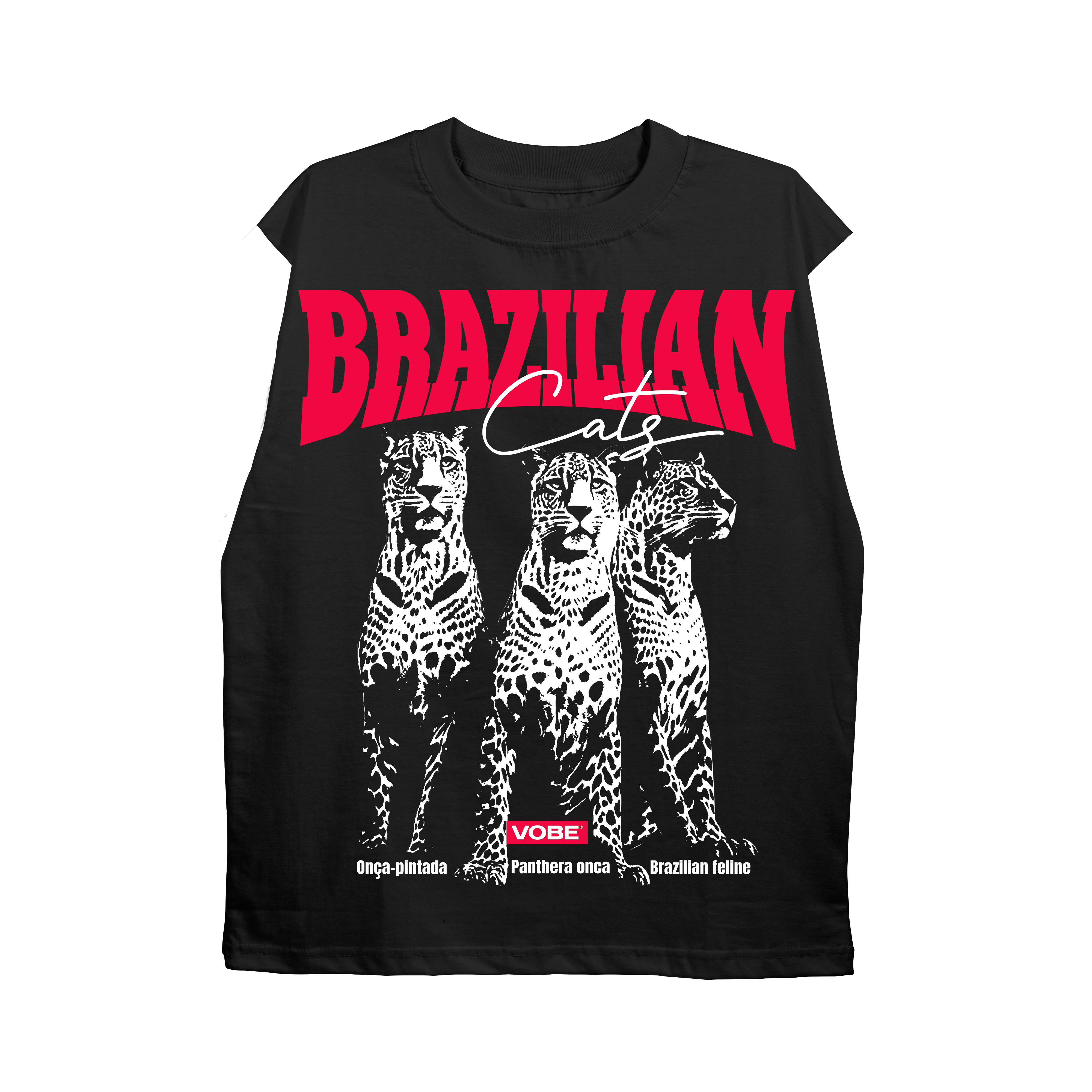 Regata “Brazilian Cats”