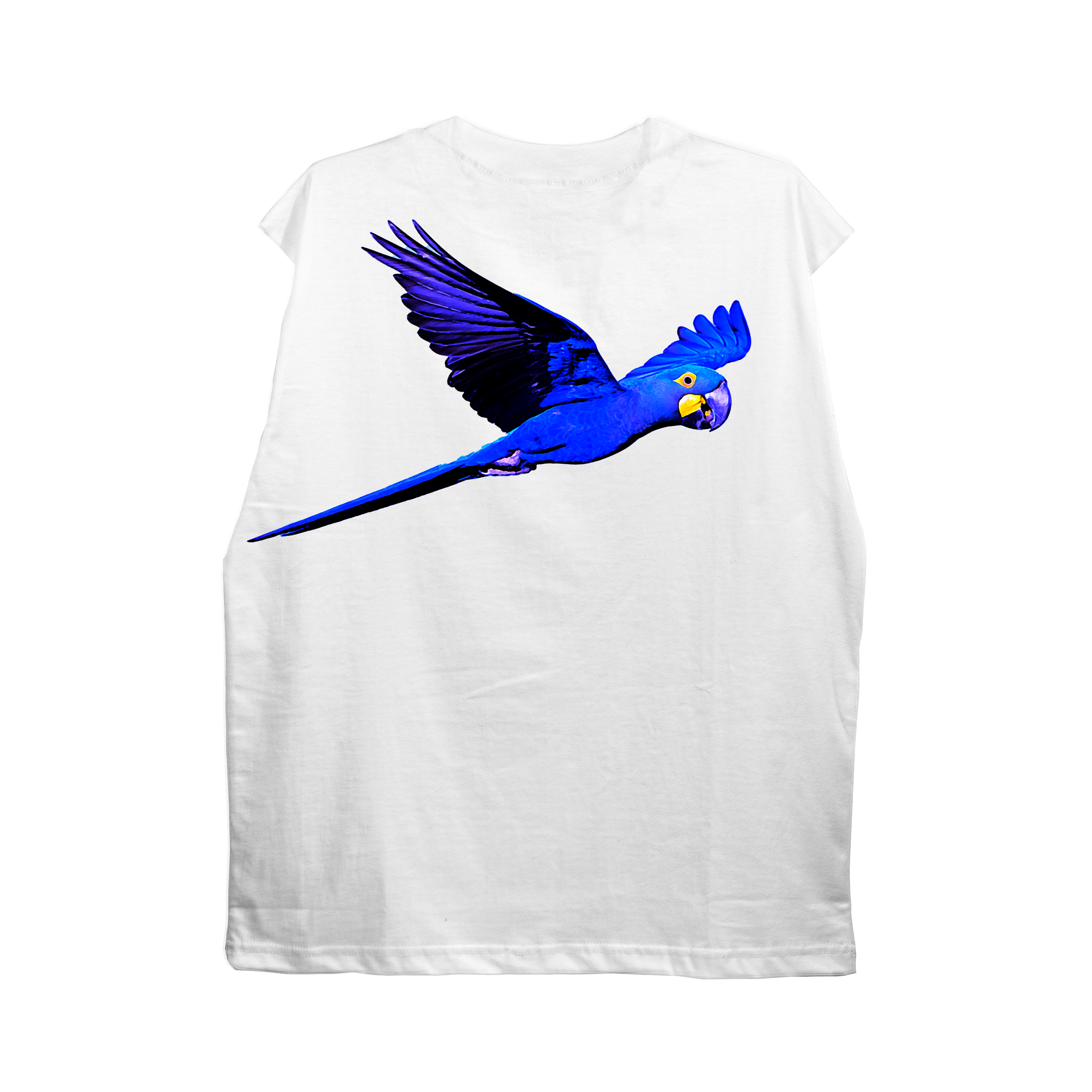 Regata “Brazil Vibes”